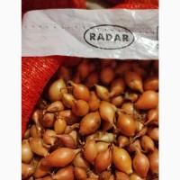 Севок Голандия