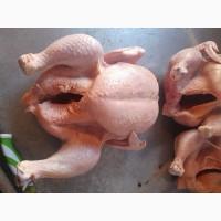 Продам тушки бройлеров