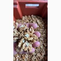 Бабочка чверть янтар