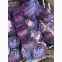 Продам капусту к/к