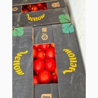 Tomatoes