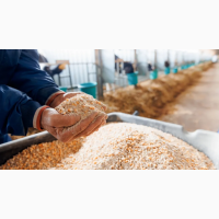 Фермент фітаза- кормова добавка для свиней та птиці для покращення засвоєння фосфору