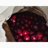 Продам калину шокової заморозки 2025 р.в
