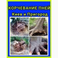 Корчування пнів