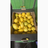 Продам Лимон