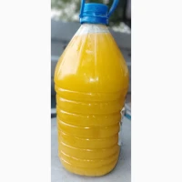 Продам мед оптом соняшниковий