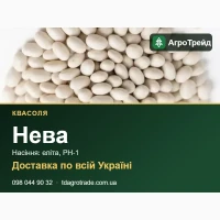 Квасоля Нева: продаж насіння, еліта, РН-1