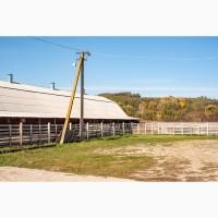 Продажа Целостно-имущественного комплекса по производству животноводческой продукции