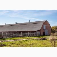 Продажа Целостно-имущественного комплекса по производству животноводческой продукции