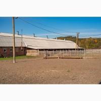 Продажа Целостно-имущественного комплекса по производству животноводческой продукции