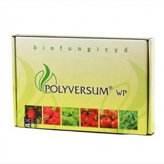 Polyversum WP (Поливерсум) 50 г - биологический фунгицид (Польша)