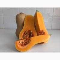 Продам мыскатную тыкву Баттернат