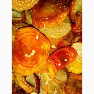 Продам сухие шляпки мухоморов