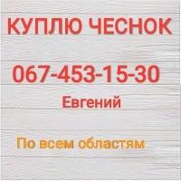 Куплю чеснок Приезжаем сами по всем областям