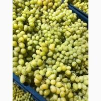 Продам виноград оптом