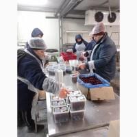 Фасовка продукции в саше пакеты. Компания Малин Фектори