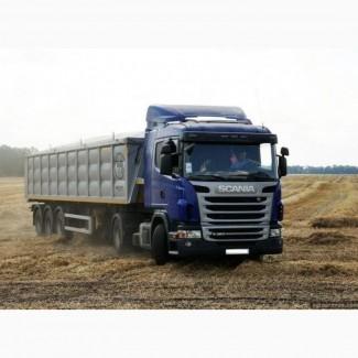 Зерновоз КамАЗ услуги аренда перевозка зерновых сцепки еврозерновозы Ровно Украина