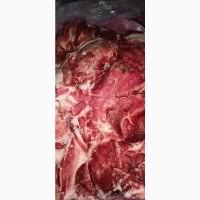 Продам лопатку свиную