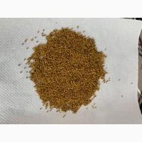 Продам жовту гірчицю ()