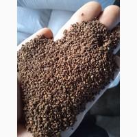 Продам високоякісне насіння ФАЦЕЛІЇ
