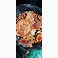Мухомор червоний половинки