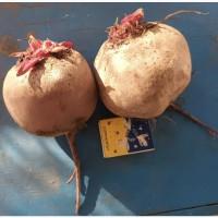 Продам червоний буряк