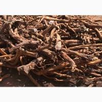 Продам сушений корінь кульбаби