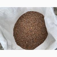 Гречиха (неочищена гречка)