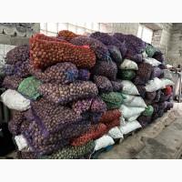 Волоський Горіх