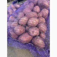 Продам товарну картоплю