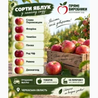 Продаємо яблуко товарне та на переробку Черкаська обл