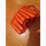 Продам фасованные мытые овощи