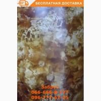 Забрус. Лизоцим. Нектар лечебных трав заповедника. Пасека. Доставка