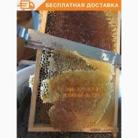 Забрус. Лизоцим. Нектар лечебных трав заповедника. Пасека. Доставка