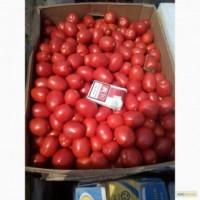 Продам помидор