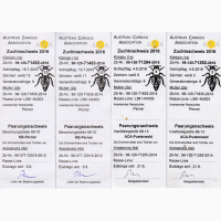 Матки карника 2018 пчеломатки матки бджоли бджоломатки