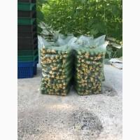 Продам огурец, сорт Яни