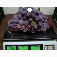 Продам столовый виноград
