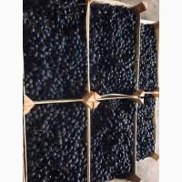 Продам виноград, опт з холодильника