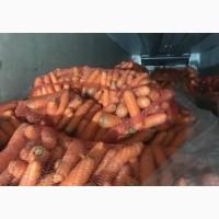 Продам морковку