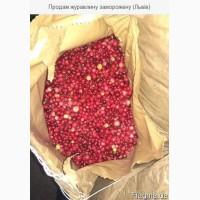 Продам журавлину заморожену (Львів)