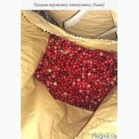 Продам журавлину заморожену (Львів)