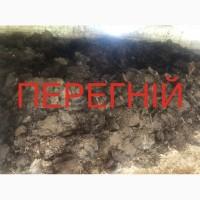 Перегній