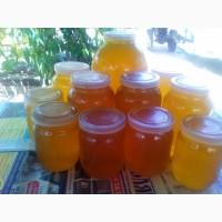 Продам мёд з власнои пасики