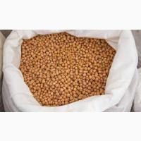 НУТ урожая 2019 г