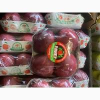 ФГ « Ранет» пропонує до реалізації продукцїю власного виробництва врожаю 2023 року