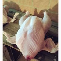 Продам мясо индейки
