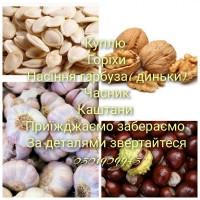 Куплю каштани, горіхи, насіння гарбузове