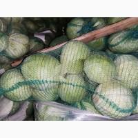 Продам Капусту