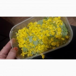 Продам лекарственные травы в больших количествах с экологически чистых регионов